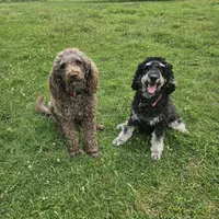 processed/99b912c4-2624-443c-b137-e412ba4dc48b/listing/e936f84e-be4f-4b8e-8fcb-647a16de2876/f9b11927-80ba-449f-8a11-0a24e3220131