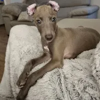 processed/99bc8ea3-9898-44d0-b7b6-3d8706462e63/listing/14624495-a337-4d40-9cba-0bfec91b7b36/4a46d919-8fef-40db-ad7a-f8437d98e89e