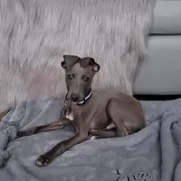 processed/99bc8ea3-9898-44d0-b7b6-3d8706462e63/listing/14624495-a337-4d40-9cba-0bfec91b7b36/75d23957-1297-4ac1-a48b-c9850886308c