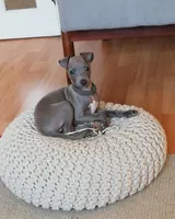 processed/99bc8ea3-9898-44d0-b7b6-3d8706462e63/listing/14624495-a337-4d40-9cba-0bfec91b7b36/9c6e22f2-a448-40d8-85a9-095fb89e7c3e