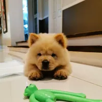 processed/99bc8ea3-9898-44d0-b7b6-3d8706462e63/listing/2b0d5518-9d38-49b1-9f00-a5d110ca2813/2554c1de-490b-4b7a-aa25-127c4ce6c7c4