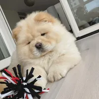 processed/99bc8ea3-9898-44d0-b7b6-3d8706462e63/listing/660fad3f-9908-47d6-b5d5-6c22acddbbce/c4be264a-eee9-4cd5-913c-56265bce4d57