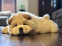 processed/99bc8ea3-9898-44d0-b7b6-3d8706462e63/listing/96897e30-5c37-44c6-b11b-efda5cada0dc/1df74822-9de1-48f2-8c80-5aa450148e5b