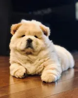 processed/99bc8ea3-9898-44d0-b7b6-3d8706462e63/listing/96897e30-5c37-44c6-b11b-efda5cada0dc/9f511bf7-31b5-4ea9-b0b7-d6f5954b433b