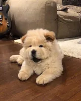 processed/99bc8ea3-9898-44d0-b7b6-3d8706462e63/listing/96897e30-5c37-44c6-b11b-efda5cada0dc/c4e6dd1a-8821-4e51-962a-e3cb137fd6f6