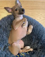 processed/99bc8ea3-9898-44d0-b7b6-3d8706462e63/listing/96b4740b-d0e9-4186-a478-25bbd5474330/98186e96-43c3-45b4-8ac0-607cf096b053