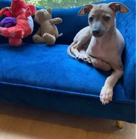 processed/99bc8ea3-9898-44d0-b7b6-3d8706462e63/listing/96b4740b-d0e9-4186-a478-25bbd5474330/9b723adb-5218-4cb4-8a5c-16779c01557b