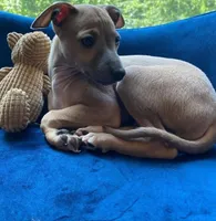 processed/99bc8ea3-9898-44d0-b7b6-3d8706462e63/listing/96b4740b-d0e9-4186-a478-25bbd5474330/e11cd847-8f80-418a-82fb-62dead15b079