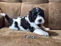 processed/99bfcd3c-3e43-47d7-98d1-b70880b36cc5/listing/1106e54b-dd41-4e0b-a669-7f4379034bc5/128fa277-f9e2-4287-8efa-de15aad5aa4f