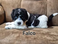 processed/99bfcd3c-3e43-47d7-98d1-b70880b36cc5/listing/1106e54b-dd41-4e0b-a669-7f4379034bc5/393778e8-423d-473d-ad2d-03c0e8f0a1f7