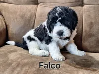 processed/99bfcd3c-3e43-47d7-98d1-b70880b36cc5/listing/1106e54b-dd41-4e0b-a669-7f4379034bc5/78d3d488-865b-4ff9-bb95-fcccfe3d002d