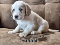 processed/99bfcd3c-3e43-47d7-98d1-b70880b36cc5/listing/13eaa0b9-d871-45d5-8b9d-8871503ca654/a0f560fc-297a-45a6-b016-26e211b94172