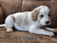 processed/99bfcd3c-3e43-47d7-98d1-b70880b36cc5/listing/13eaa0b9-d871-45d5-8b9d-8871503ca654/ce5f486d-5697-4c3d-b95d-760f5dafb333