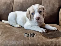 processed/99bfcd3c-3e43-47d7-98d1-b70880b36cc5/listing/71f90da2-b2c8-4a65-aedd-c5e6429abb2f/0d9bc01d-1257-42f4-babe-6c51f80c6f69