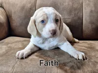 processed/99bfcd3c-3e43-47d7-98d1-b70880b36cc5/listing/71f90da2-b2c8-4a65-aedd-c5e6429abb2f/a86c2681-0ab4-4ea7-9f51-32b9129ef8ae