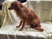 processed/99bfcd3c-3e43-47d7-98d1-b70880b36cc5/listing/92e30654-2f63-4a6a-9575-2d3fda48d542/4b09ba66-d3f8-4fa2-9021-92334e38bf14