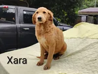 processed/99bfcd3c-3e43-47d7-98d1-b70880b36cc5/listing/92e30654-2f63-4a6a-9575-2d3fda48d542/fc84d691-4d40-4595-b853-a08225f234d2