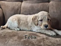 processed/99bfcd3c-3e43-47d7-98d1-b70880b36cc5/listing/dd9f612e-a1a4-43a3-a6b1-ba8183715bc5/fc728a79-b8d1-43d9-be73-0036fd1148b0