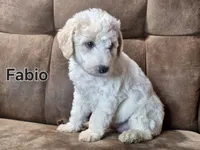 processed/99bfcd3c-3e43-47d7-98d1-b70880b36cc5/listing/fa8e0fd8-8f29-48db-9b95-493e5b3cba8f/22a45314-ec41-4a18-abcc-d2473ee9fdd7