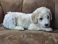 processed/99bfcd3c-3e43-47d7-98d1-b70880b36cc5/listing/fa8e0fd8-8f29-48db-9b95-493e5b3cba8f/36f74bc5-c67e-4ebf-912c-97fca618ee67