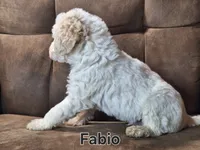 processed/99bfcd3c-3e43-47d7-98d1-b70880b36cc5/listing/fa8e0fd8-8f29-48db-9b95-493e5b3cba8f/40851151-b934-402e-abf8-f1685540f55d