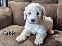 processed/99bfcd3c-3e43-47d7-98d1-b70880b36cc5/listing/fa8e0fd8-8f29-48db-9b95-493e5b3cba8f/5ed90108-7a43-4c13-bac2-fe3db674f768