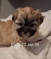 processed/99c820ee-3491-4268-8e78-ba651e16ea23/listing/925a24bc-1bbc-4718-94f8-7990ff15872e/77b65c5e-cb4f-4d7c-8452-b79d49ecea23