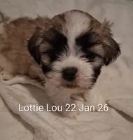 processed/99c820ee-3491-4268-8e78-ba651e16ea23/listing/c38ec1fc-b119-4856-8cae-8f94c4d830b1/630b335a-145e-49d3-a0d1-c367c180ab2c