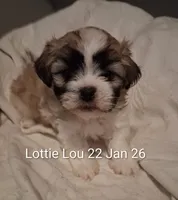 processed/99c820ee-3491-4268-8e78-ba651e16ea23/listing/c38ec1fc-b119-4856-8cae-8f94c4d830b1/724efb54-6f9d-4d98-b0c9-f8216bc1884a