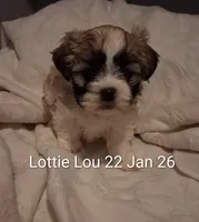 processed/99c820ee-3491-4268-8e78-ba651e16ea23/listing/c38ec1fc-b119-4856-8cae-8f94c4d830b1/7cbc3821-0a1a-4bc2-9ede-ec31cf4a021f