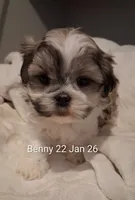 processed/99c820ee-3491-4268-8e78-ba651e16ea23/listing/c5f3bfc4-5c4d-4d28-8184-c867905de1eb/48aa8c7e-6657-4e44-8751-681937ec6b45