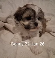 processed/99c820ee-3491-4268-8e78-ba651e16ea23/listing/c5f3bfc4-5c4d-4d28-8184-c867905de1eb/8b90e4f3-1b13-45c2-aca7-86dbfe1640fe