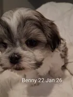 processed/99c820ee-3491-4268-8e78-ba651e16ea23/listing/c5f3bfc4-5c4d-4d28-8184-c867905de1eb/99354f2a-83a5-4f64-a999-7dce291823d1