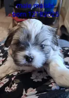 processed/99c820ee-3491-4268-8e78-ba651e16ea23/listing/c5f3bfc4-5c4d-4d28-8184-c867905de1eb/a73bae52-a13e-4563-94e8-9cf922cccf86