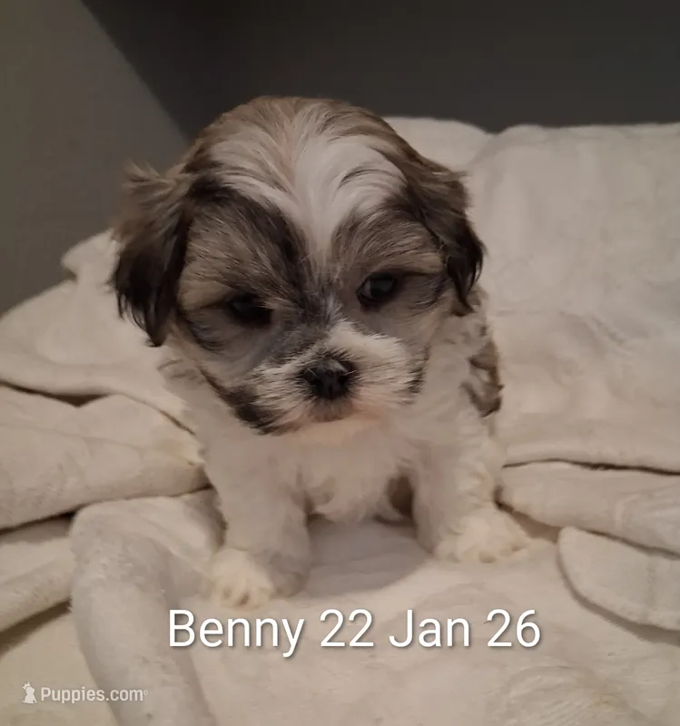 Benny
