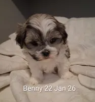 processed/99c820ee-3491-4268-8e78-ba651e16ea23/listing/c5f3bfc4-5c4d-4d28-8184-c867905de1eb/cf32ef27-1feb-4449-97f3-7e2102add331