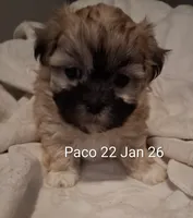 processed/99c820ee-3491-4268-8e78-ba651e16ea23/listing/e0eac6ee-6e72-4670-ab4d-71341f89d5ab/391c19e0-032d-47c3-aac2-ef9f27666275