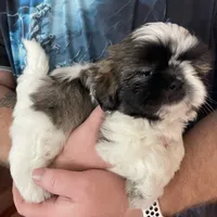 processed/99c90709-d8b3-44de-a8dd-b83116221aa0/facility/15f58f38-3b9a-4071-8a4b-ba4134ce0d58