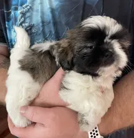 processed/99c90709-d8b3-44de-a8dd-b83116221aa0/facility/15f58f38-3b9a-4071-8a4b-ba4134ce0d58