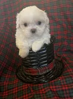 processed/99c90709-d8b3-44de-a8dd-b83116221aa0/facility/1f66c6da-82be-47f7-a7fa-f3a4b59d7088