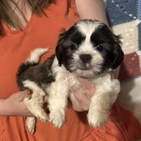 processed/99c90709-d8b3-44de-a8dd-b83116221aa0/facility/256e5aec-68ae-495c-906f-7cac8f4ada01