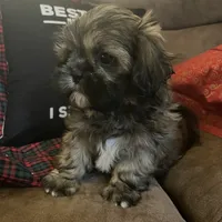 processed/99c90709-d8b3-44de-a8dd-b83116221aa0/facility/2acfb36e-a2e3-462e-8ec7-88ee42b4cb43