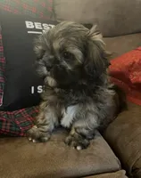 processed/99c90709-d8b3-44de-a8dd-b83116221aa0/facility/2acfb36e-a2e3-462e-8ec7-88ee42b4cb43