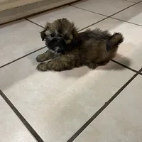 processed/99c90709-d8b3-44de-a8dd-b83116221aa0/facility/5640ad0b-e971-4d04-ae5b-d4355fdd1164