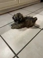 processed/99c90709-d8b3-44de-a8dd-b83116221aa0/facility/5640ad0b-e971-4d04-ae5b-d4355fdd1164