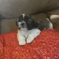 processed/99c90709-d8b3-44de-a8dd-b83116221aa0/facility/ad26a426-d665-42e1-bf6e-744f9cce9ebd