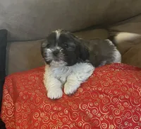 processed/99c90709-d8b3-44de-a8dd-b83116221aa0/facility/ad26a426-d665-42e1-bf6e-744f9cce9ebd