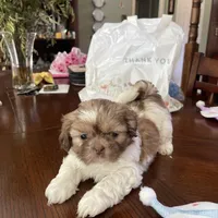 processed/99c90709-d8b3-44de-a8dd-b83116221aa0/facility/cc6664aa-9567-438f-9cf3-b9f2d741b876