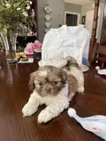 processed/99c90709-d8b3-44de-a8dd-b83116221aa0/facility/cc6664aa-9567-438f-9cf3-b9f2d741b876