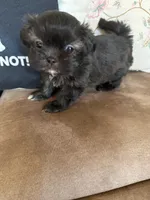 processed/99c90709-d8b3-44de-a8dd-b83116221aa0/listing/24e2c0b3-cc40-4278-b62d-ea8b51ce769c/0aa23c7b-778a-4d54-a800-e0ad2c0edcd1